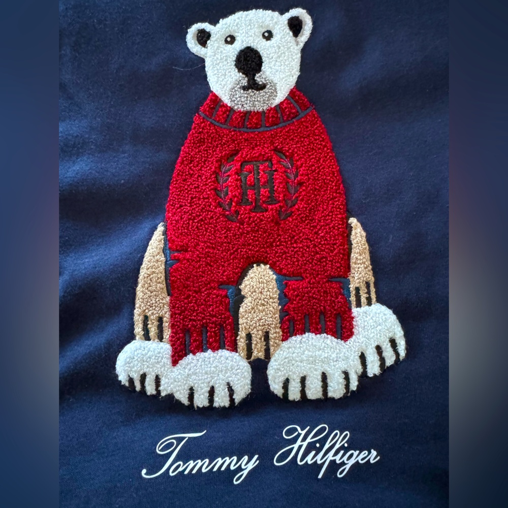 Tommy Hilfiger Red Polar Bear Sweater Preppy Academia - Picture 2 of 8